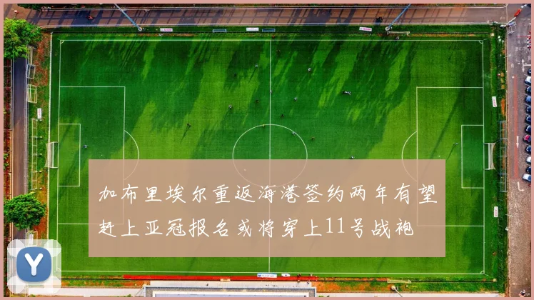 加布里埃尔重返海港签约两年有望赶上亚冠报名或将穿上11号战袍