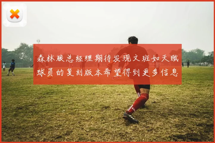 森林狼总经理期待发现文班如天赋球员的复刻版本希望得到更多信息