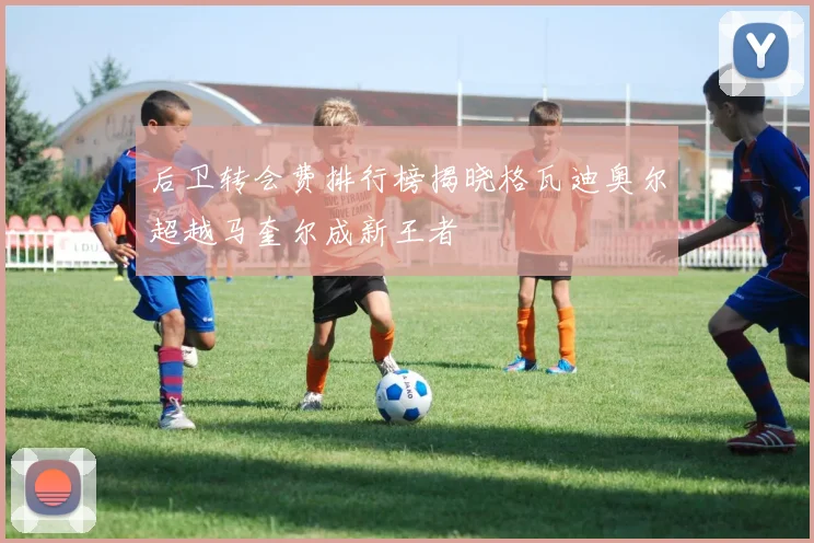 后卫转会费排行榜揭晓格瓦迪奥尔超越马奎尔成新王者