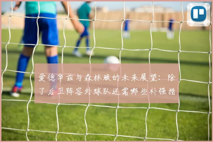 爱德华兹与森林狼的未来展望：除了后卫阵容外球队还需哪些补强措施